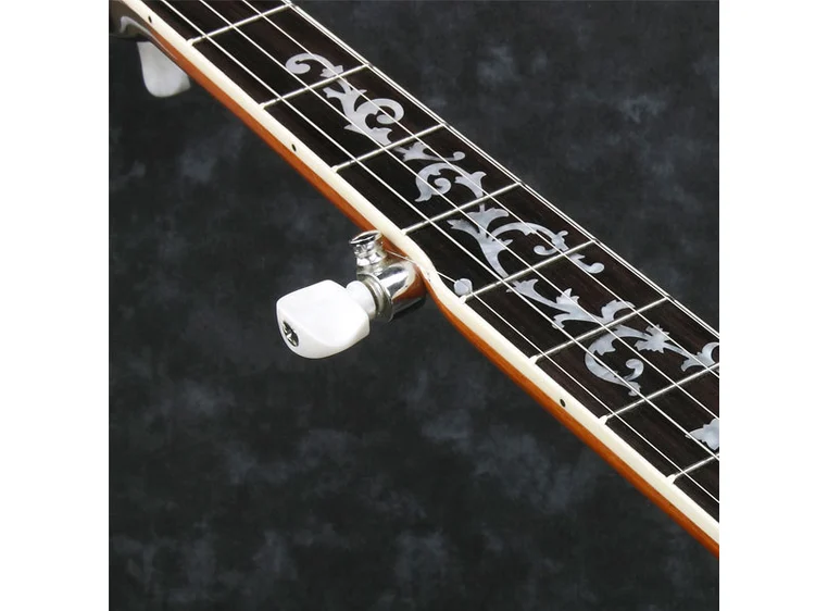 Ibanez B-200 - 5 str. banjo 